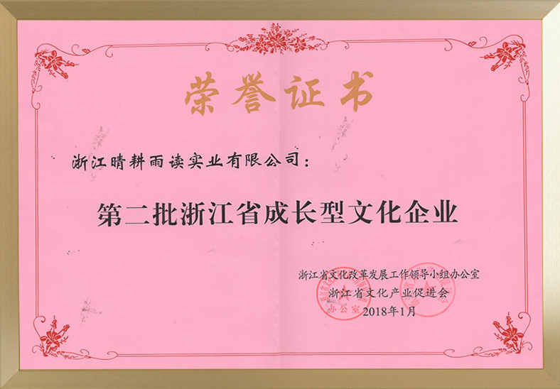 成長型文化企業